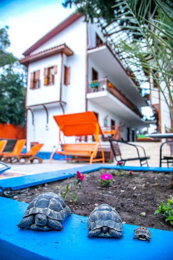 Kaliptus Hotel 2*