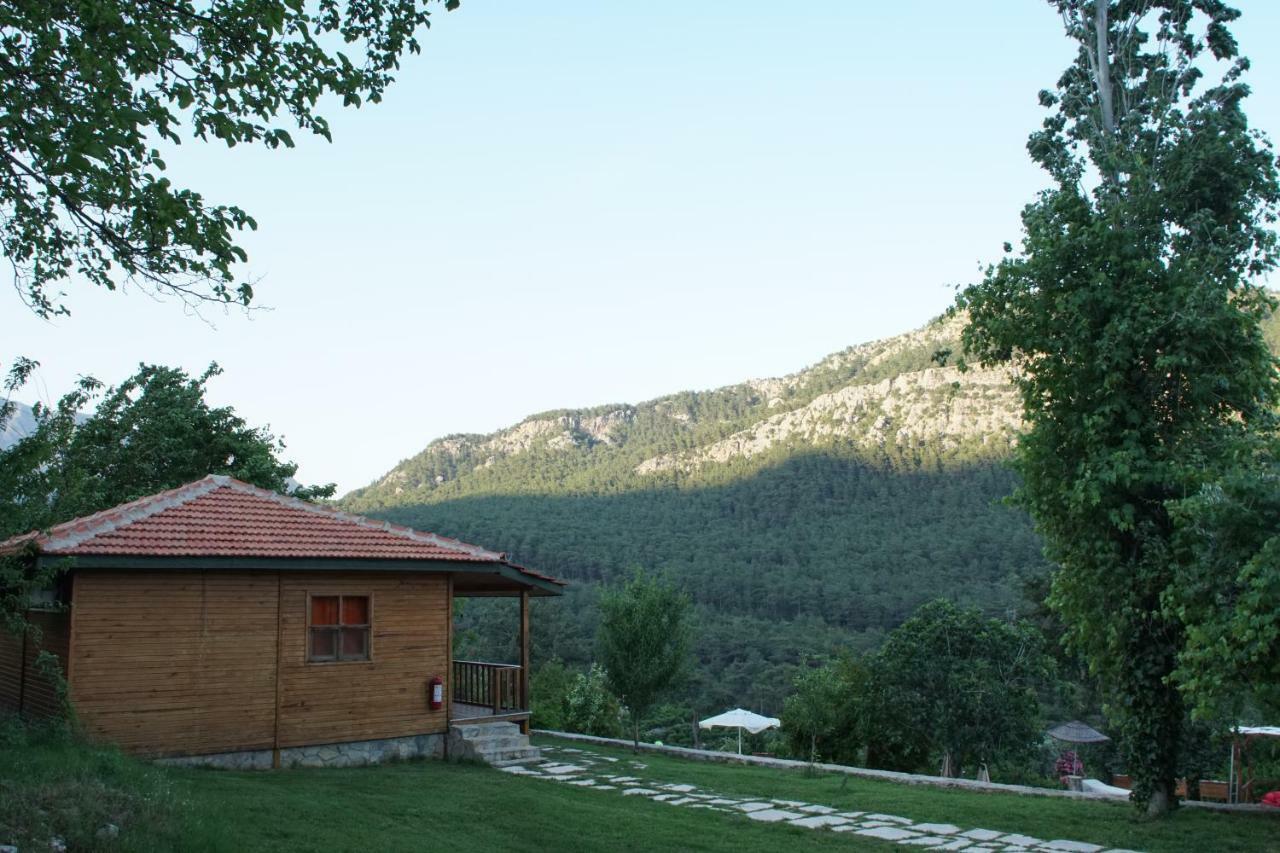 Lycia Nature House Cirali