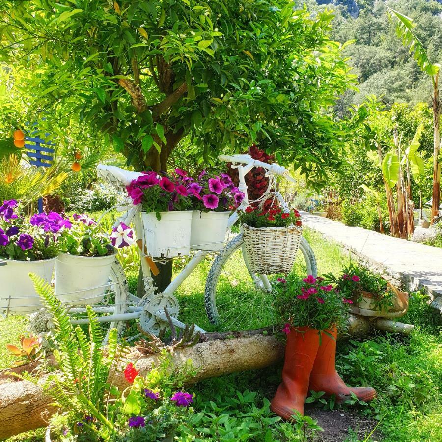 Lodge Portalimo - Adult Only +12 *