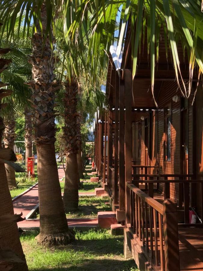 Dream Park Aparthotel Titreyengol