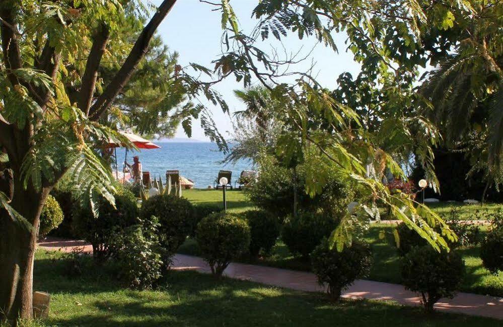 Hotel Rena 3*
