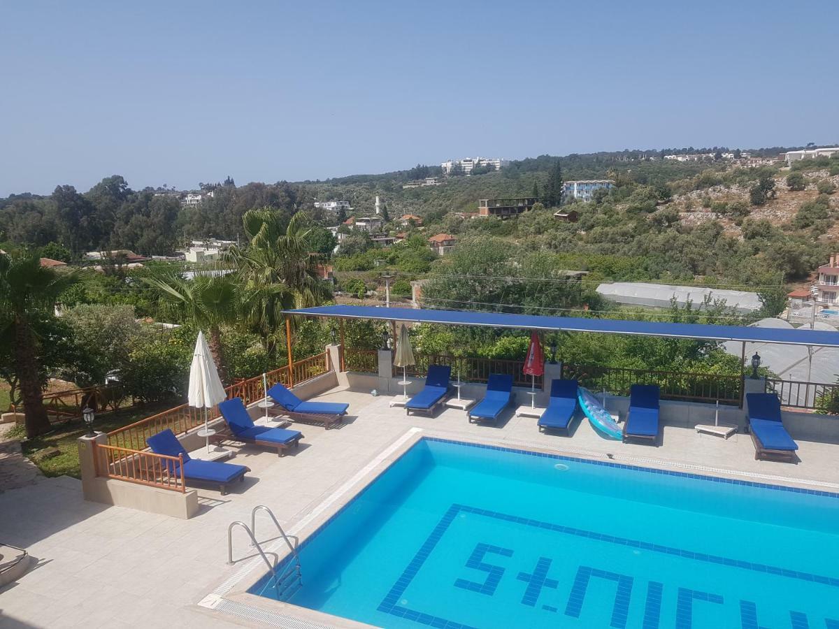 Delfin Hotel 2*