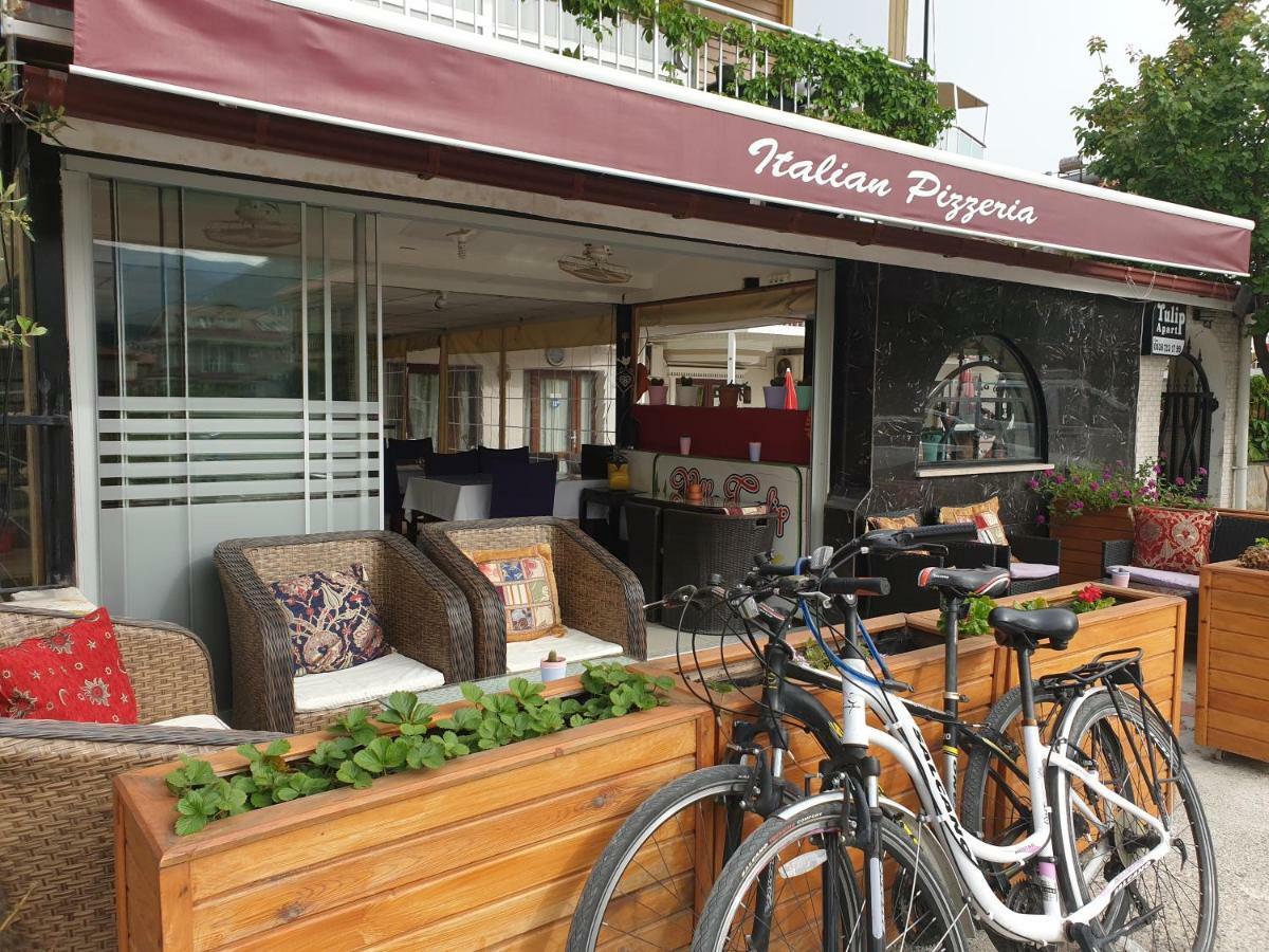 Hotel Tulip
