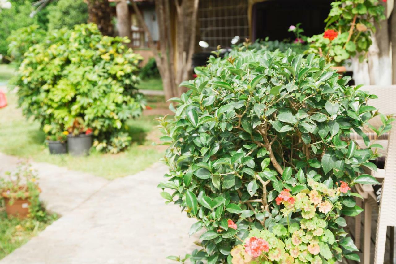 Village Garden Homestay *