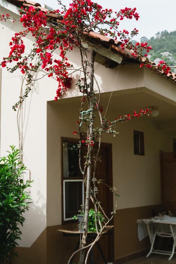 Village Garden Homestay