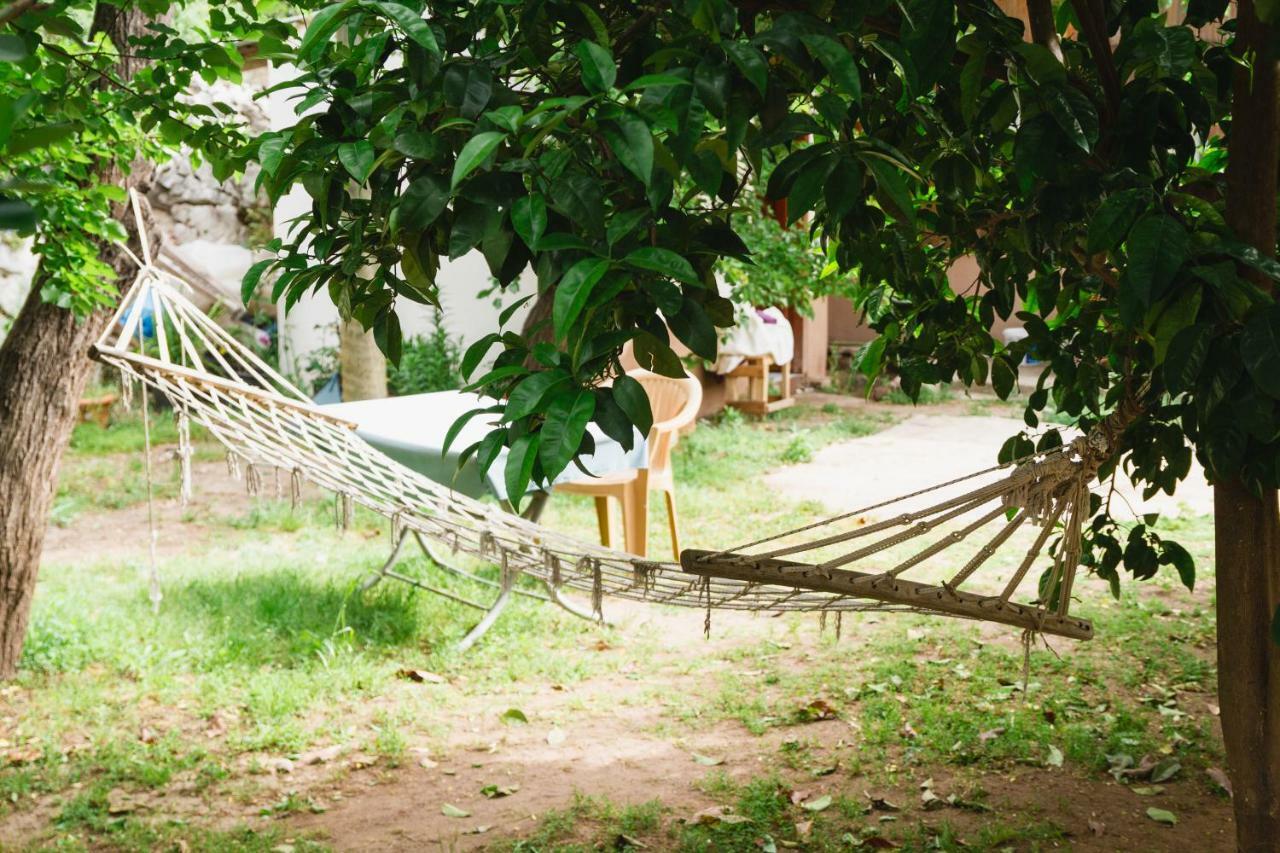 Homestay Village Garden *