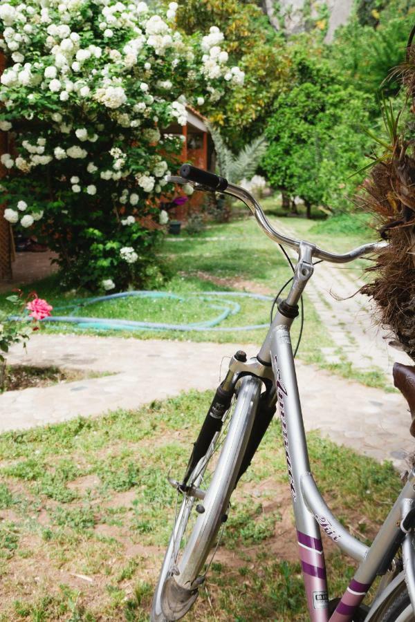 Village Garden Homestay