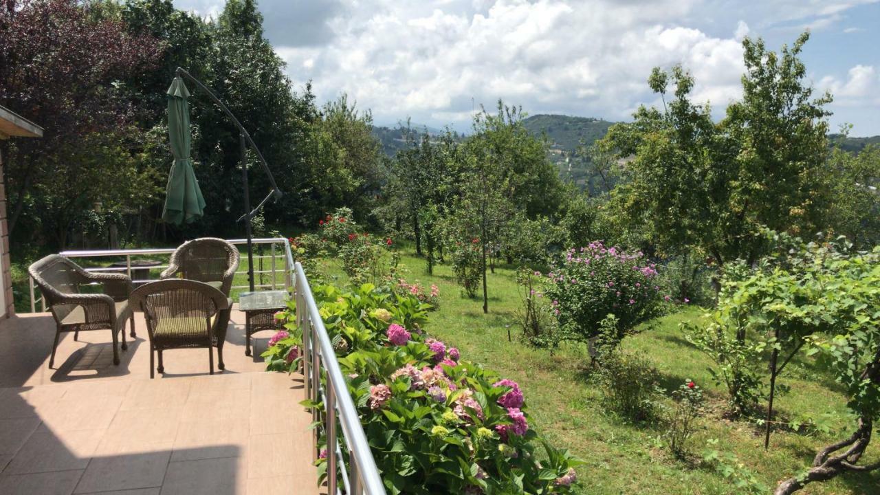 Sea & Nature Hisar Villa *