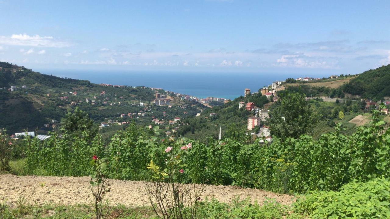 Sea & Nature Hisar Trabzon