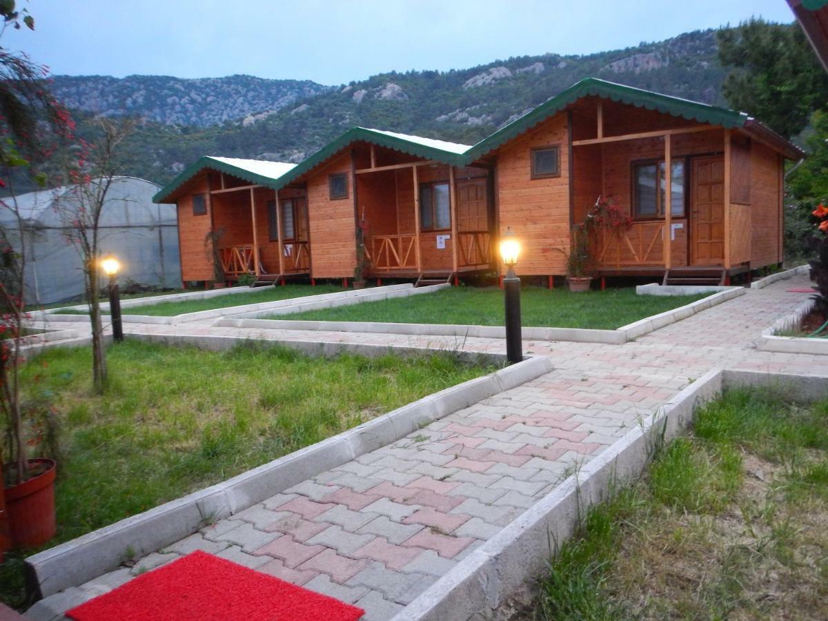 Homestay Kocakaya Bungalow