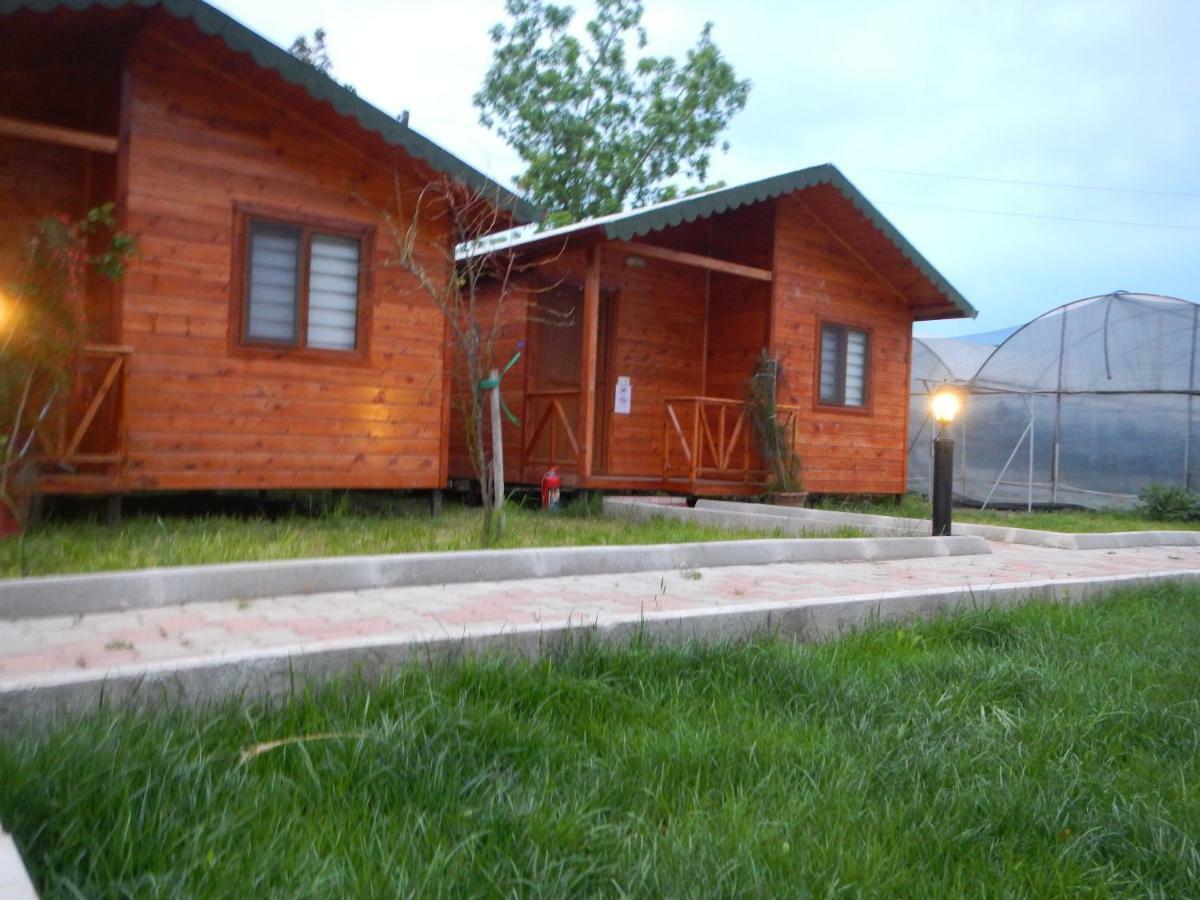 Kocakaya Bungalow * Cirali