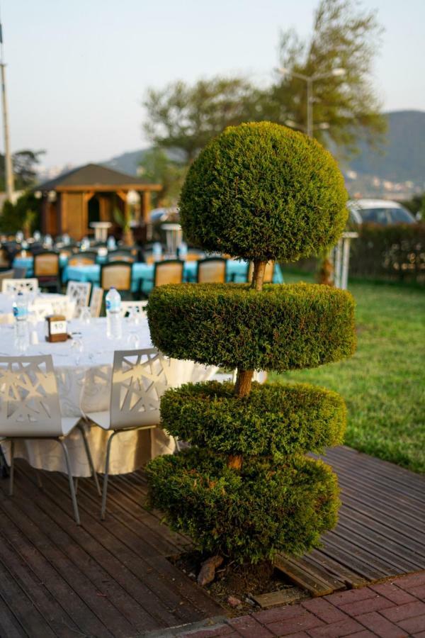 Aloria Garden