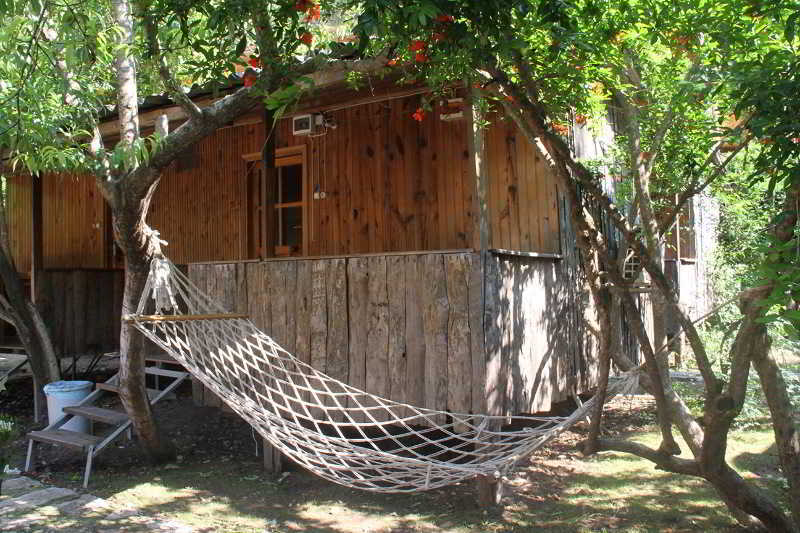Turkmen Tree Holiday park 3*