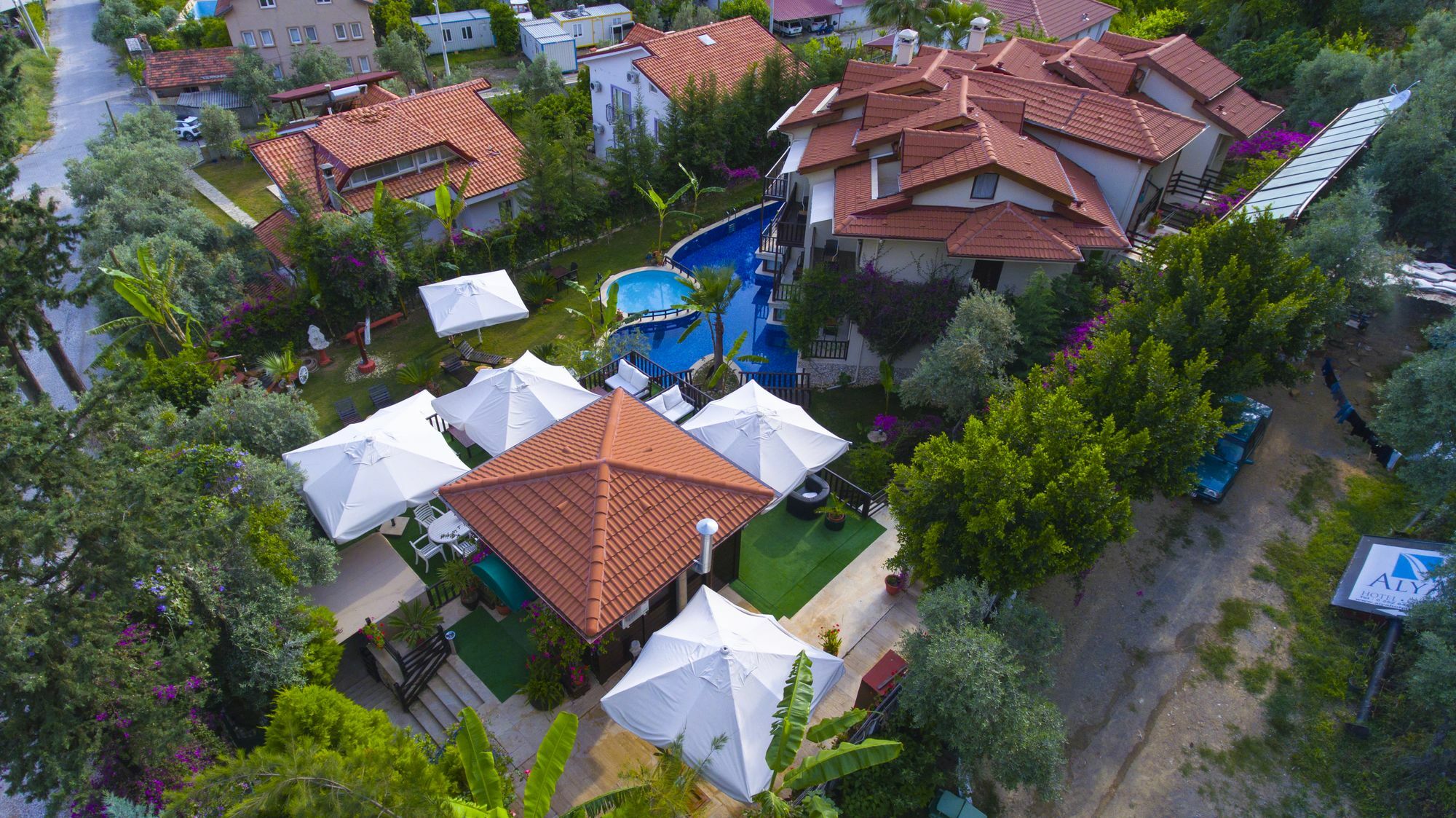 Alya Gocek (Fethiye)