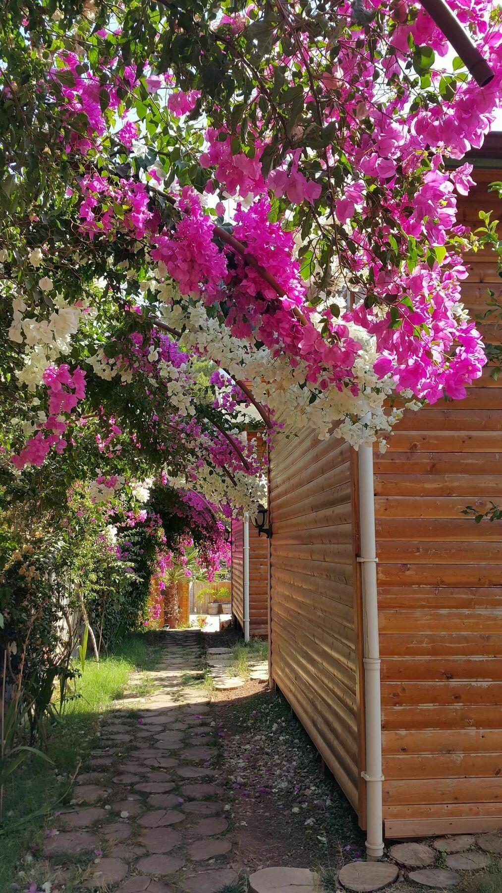 Kabak Armes Hotel 3*