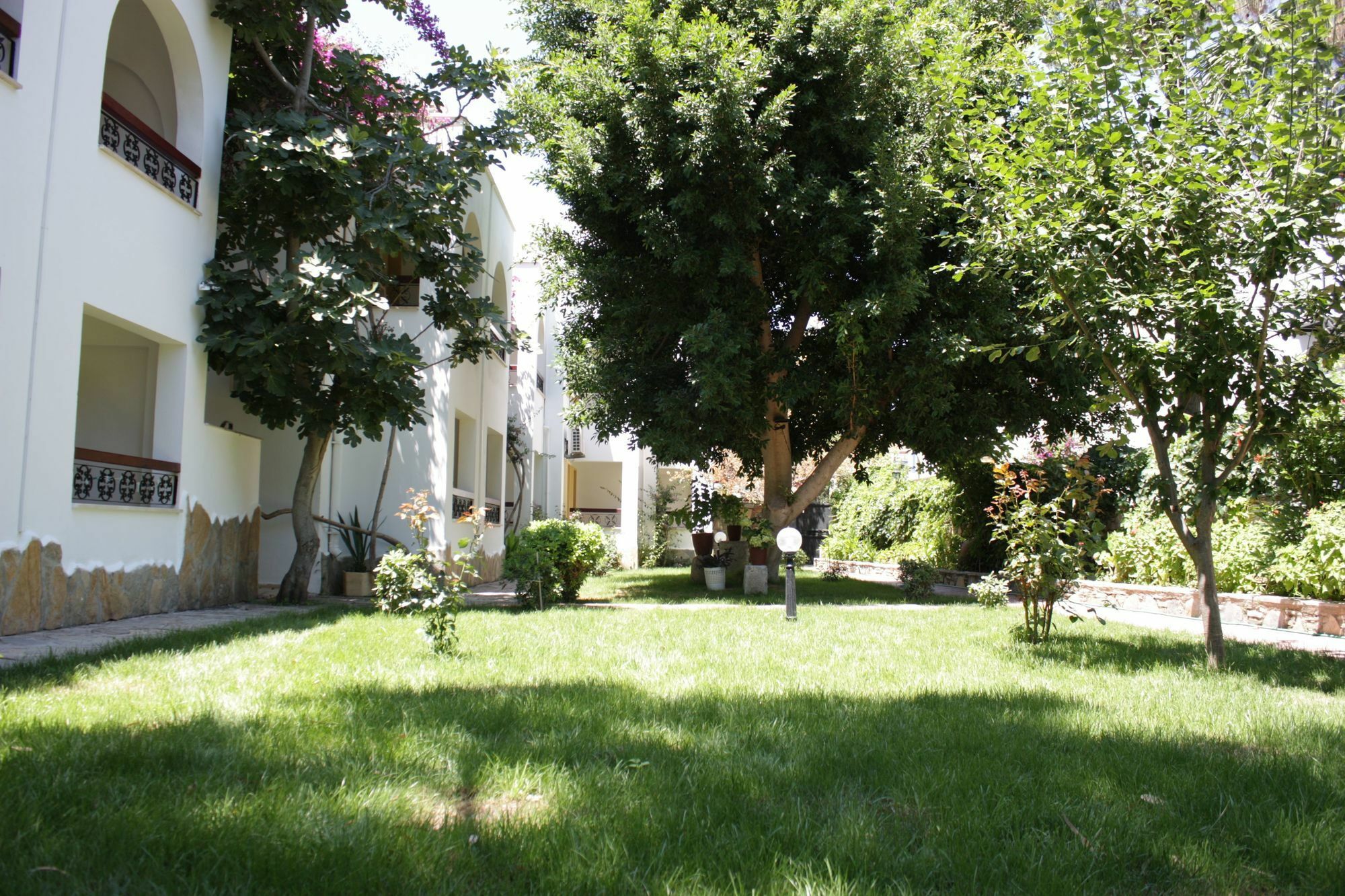 Toloman Hotel