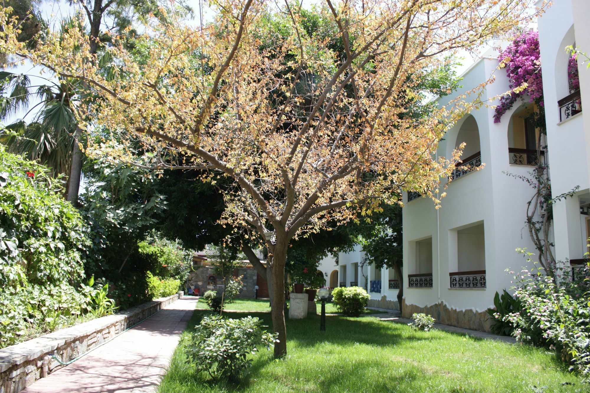 Toloman Hotel 2*