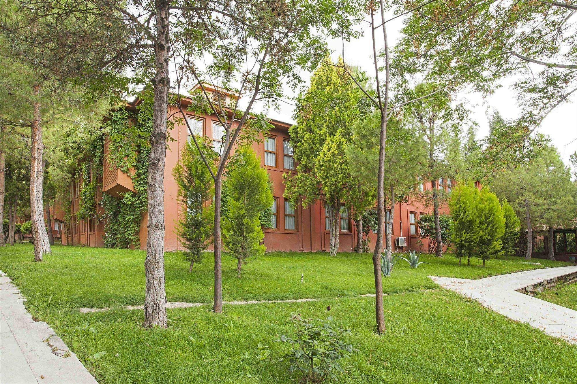 Polat Thermal 5*
