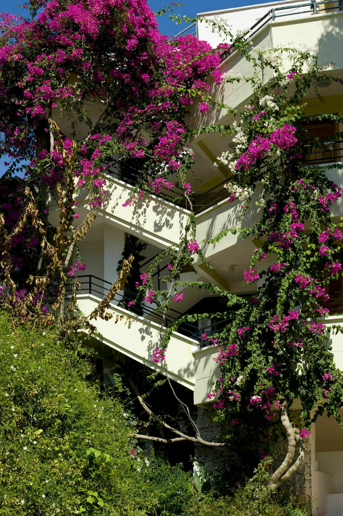 Pataros Hotel Hotel Patara