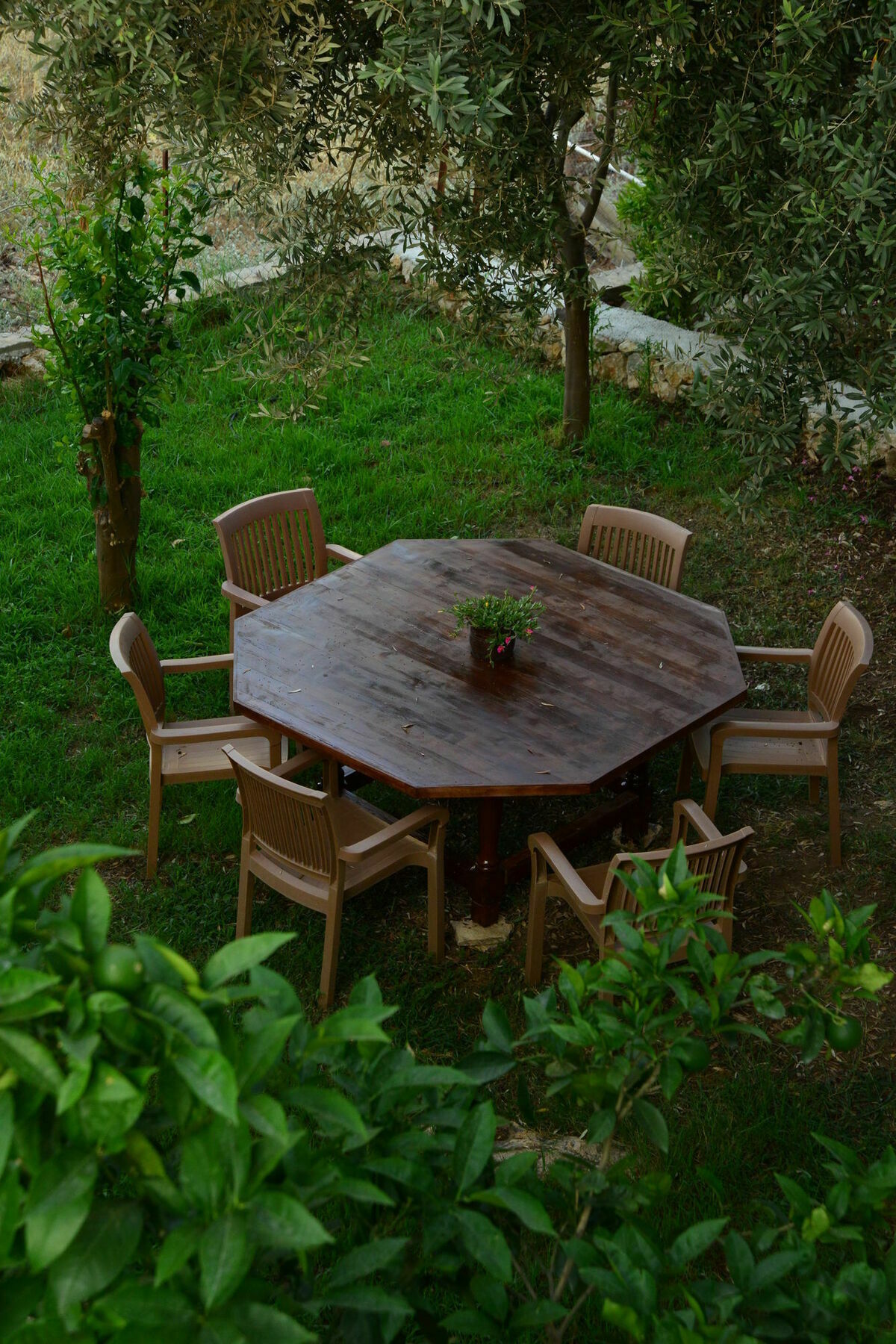 Hotel Golden Lighthouse Patara