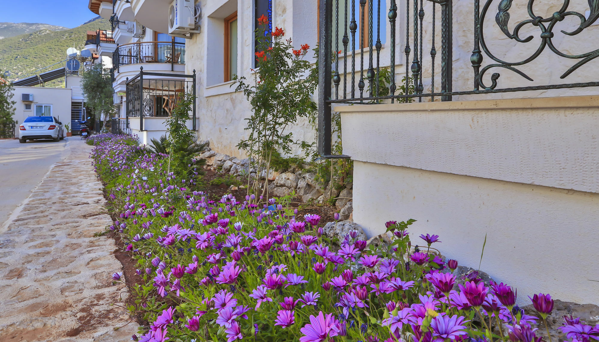 Aparthotel Cinarlar Apart Hotel Kas Kas
