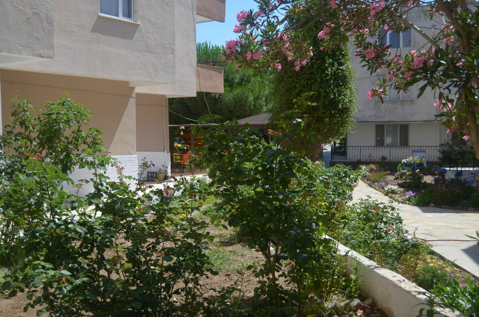 Ahmeda Ayvalik