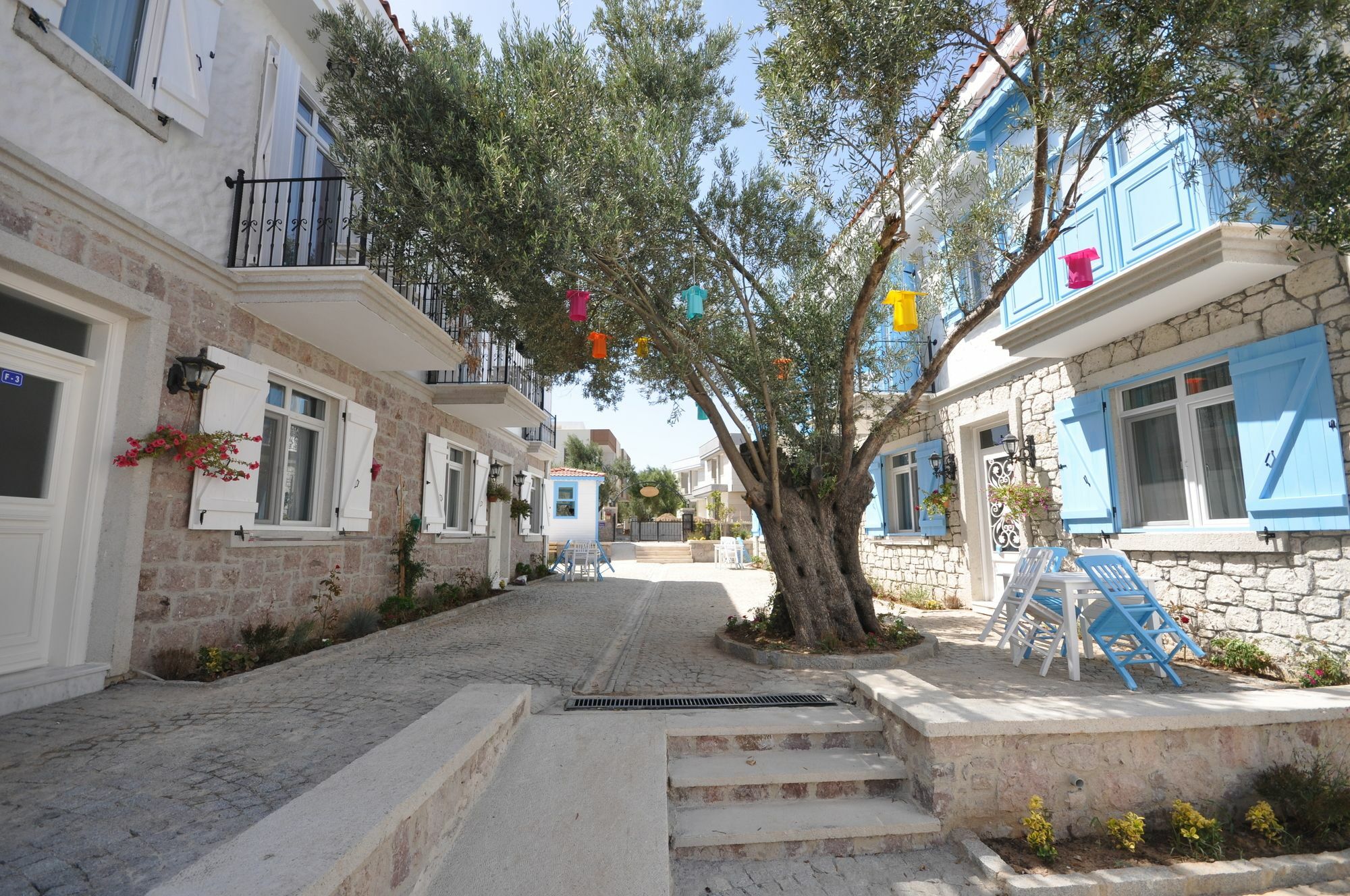 Zeytin Arasi Ayvalik
