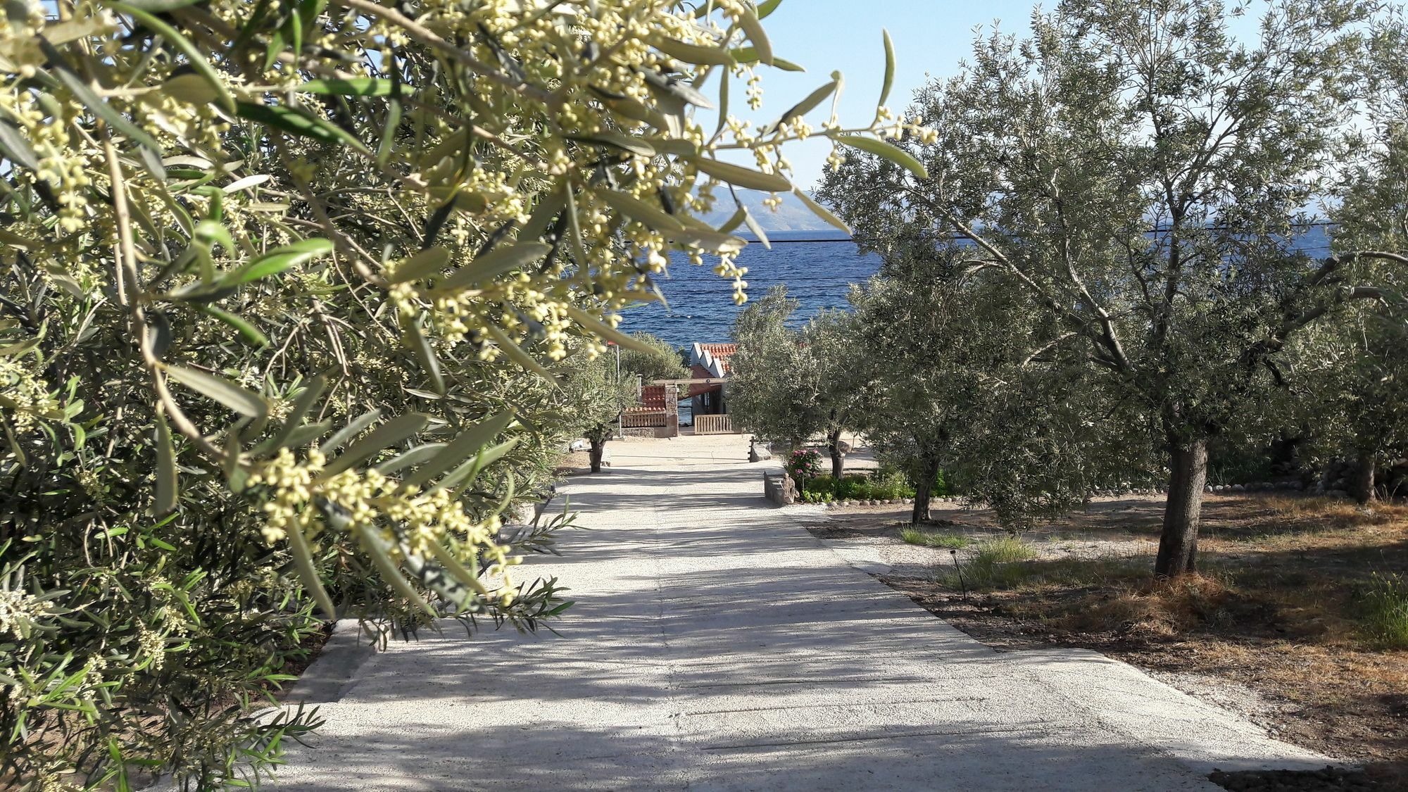 Nazan & Restaurant & Assos