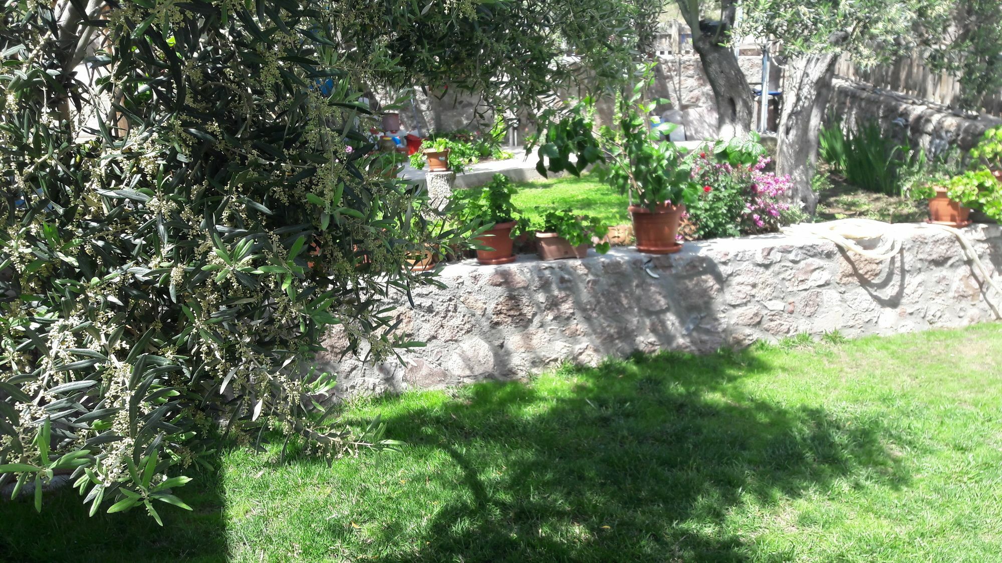 Nazan & Restaurant & Hotel Assos
