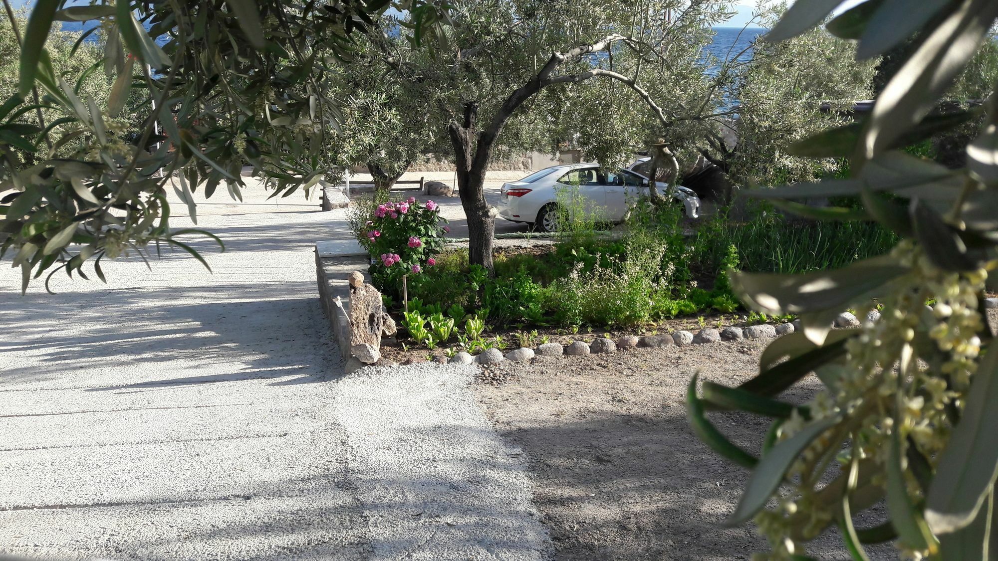 Nazan & Restaurant & Hotel 3*