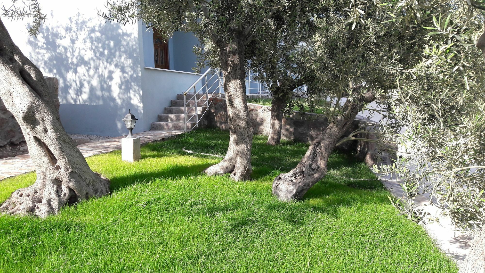 Nazan & Restaurant &