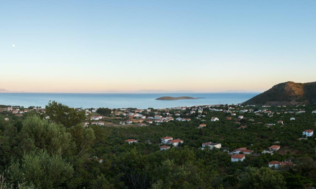 Karia