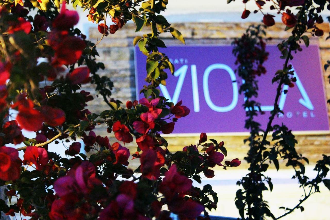 Hotel Viola (adults Only) 2*