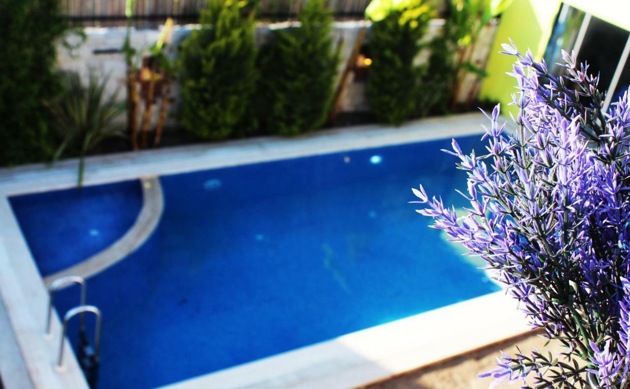 Viola (adults Only) Hotel Alacati