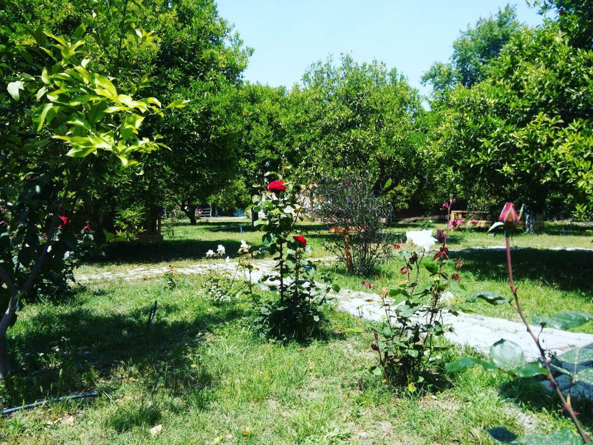 Sakli Bahce Homestay Cirali