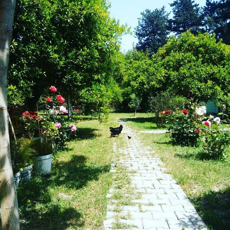 Homestay Sakli Bahce *