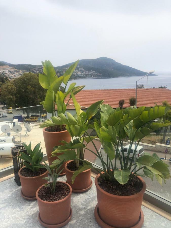 Samira Exclusive & Kalkan