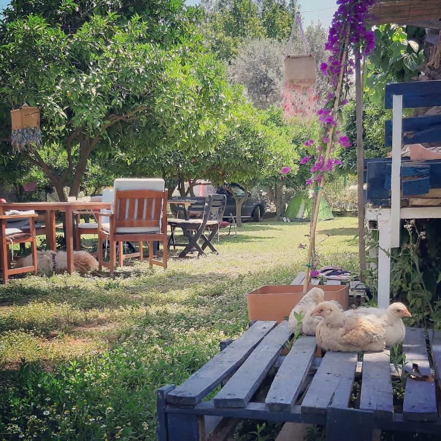 Homestay Friends Pension&camping