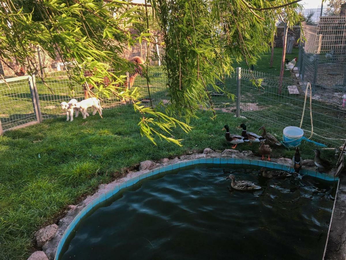 Alis Farm Boutique & Hotel Assos