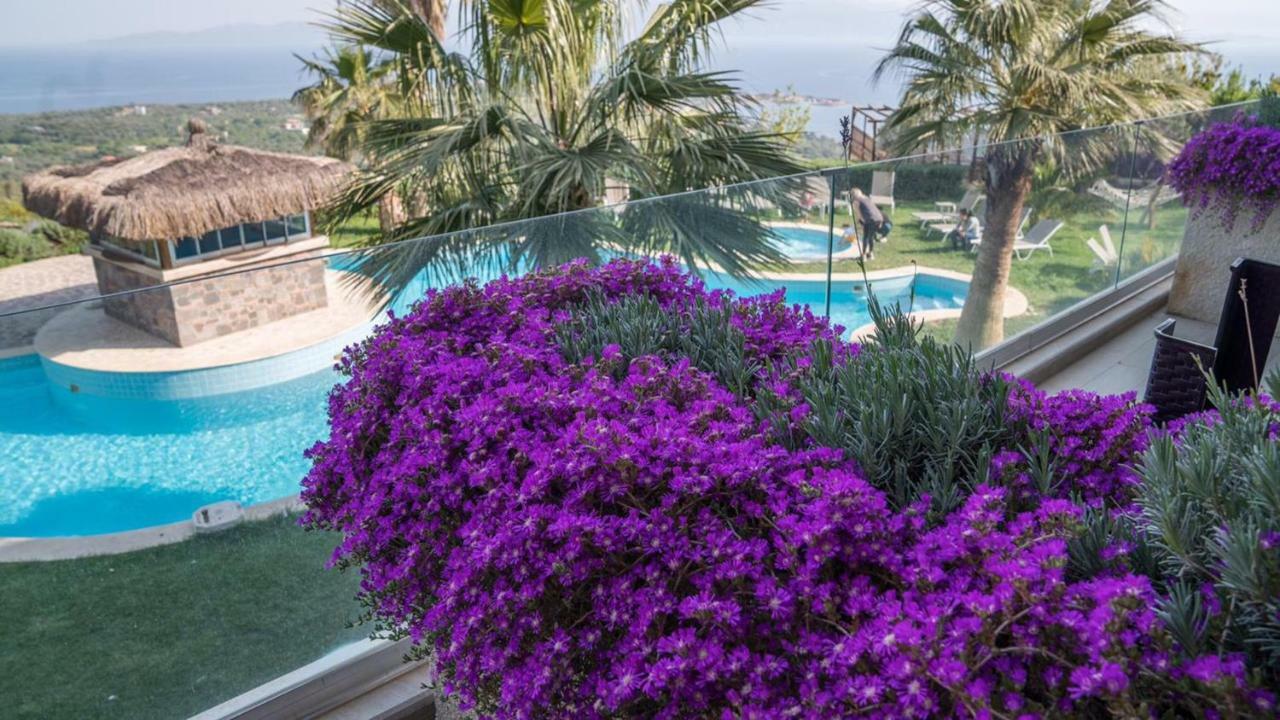 Hotel Alis Farm Boutique &
