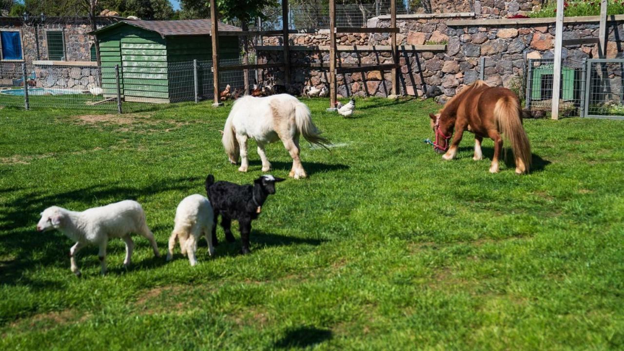 Hotel Alis Farm Boutique &