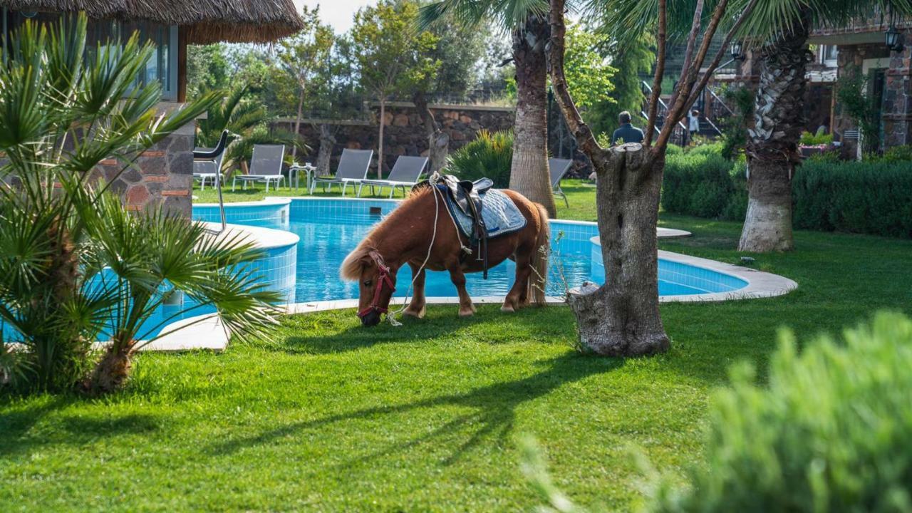 Hotel Alis Farm Boutique & Assos
