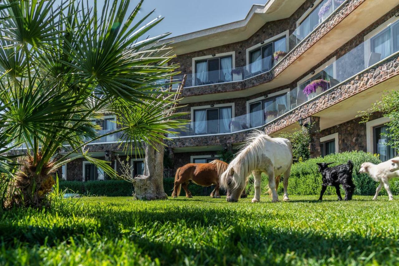 Hotel Alis Farm Boutique & 2*