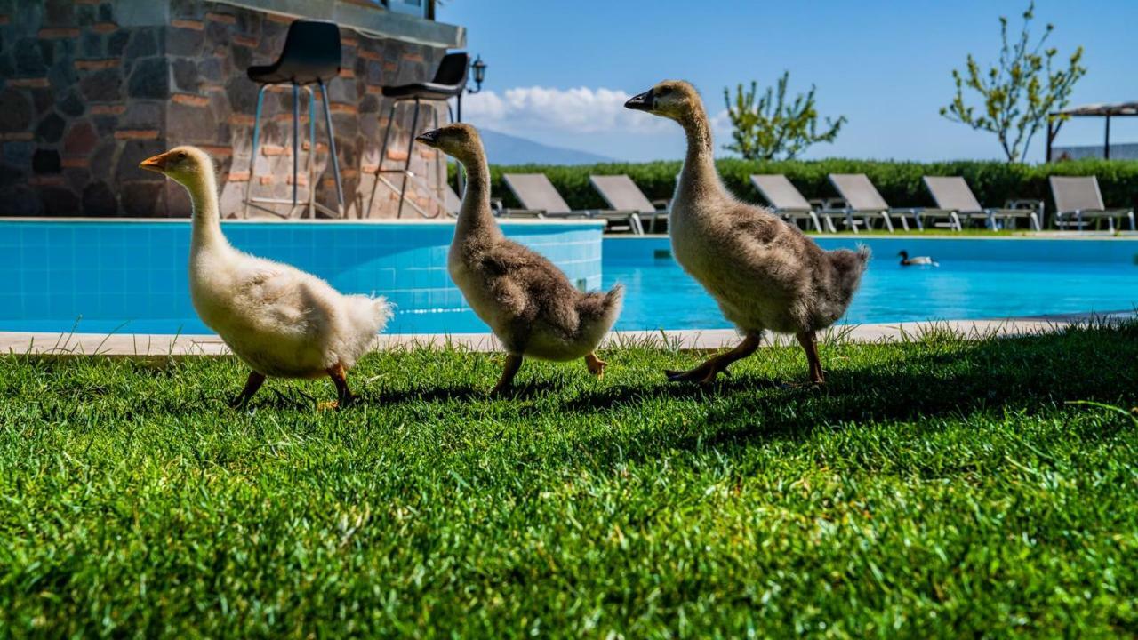 Alis Farm Boutique & Hotel