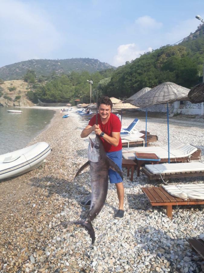 Ege * Bodrum