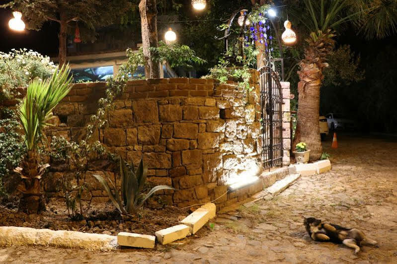 Cunda Nesos Guest house *