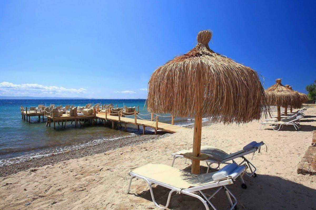 Esida Hotel 3*