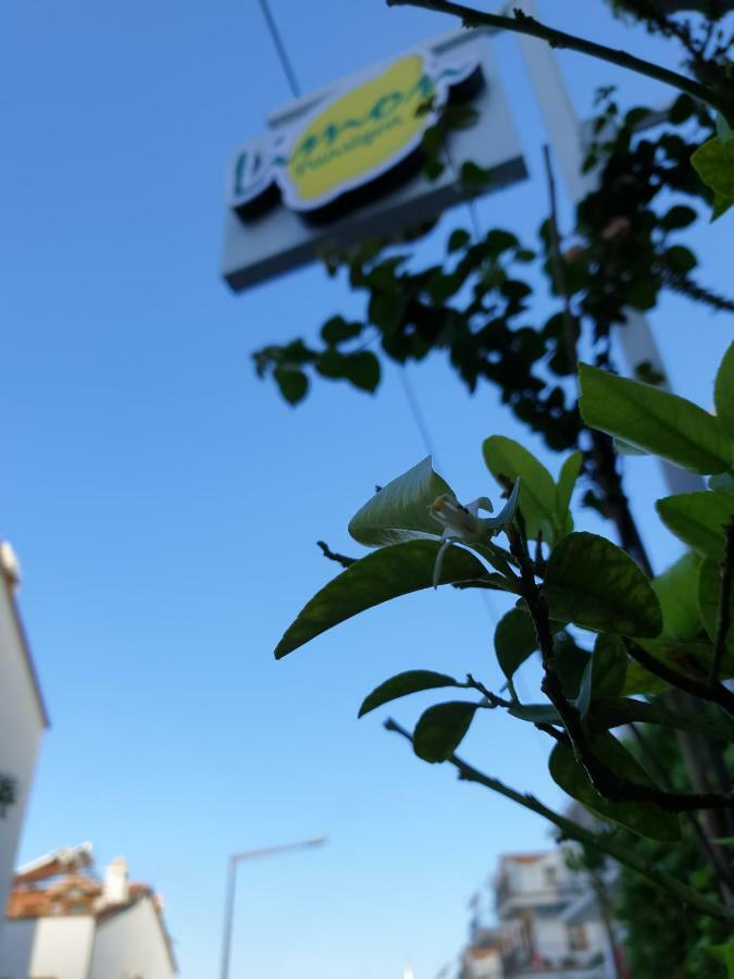 Limon * Kas