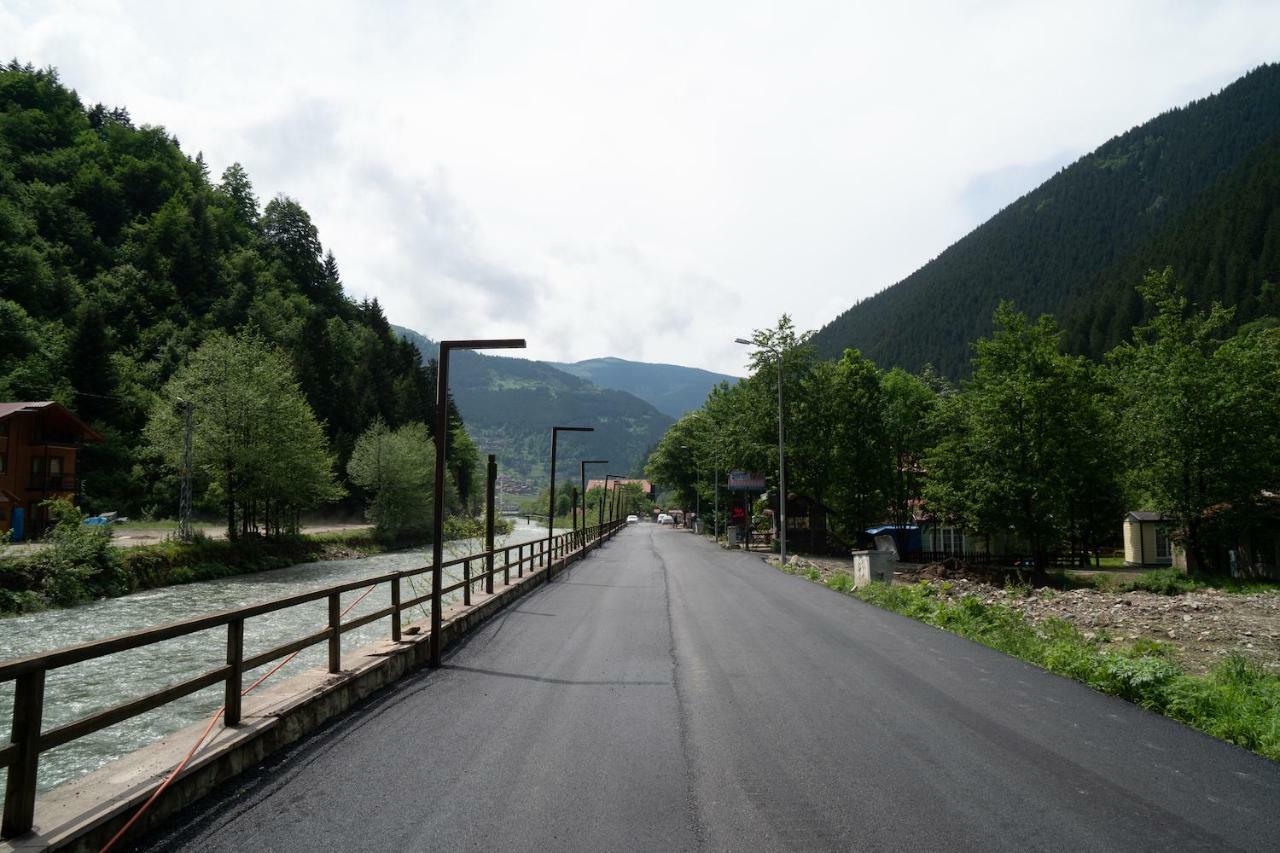 Hotel Kuzey Park 3*