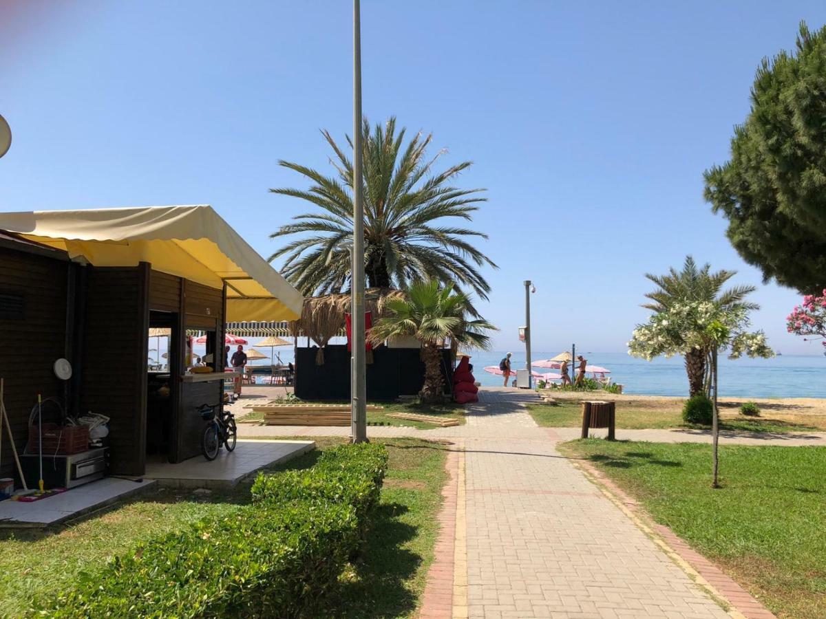 Arsi Enfi Alanya